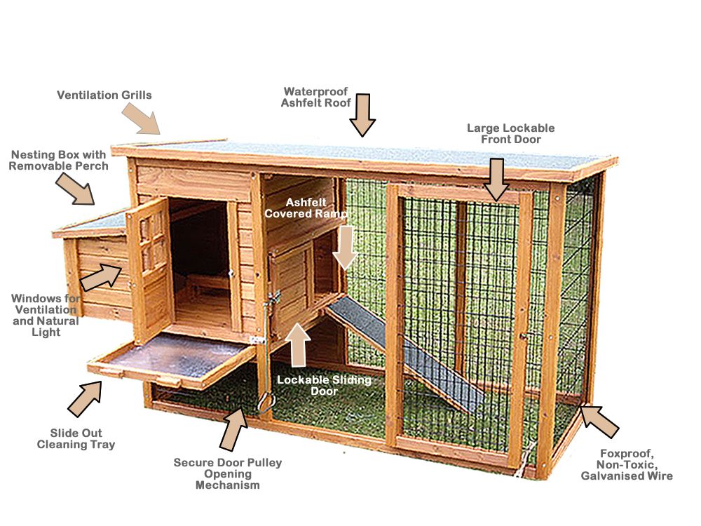 Looking for chicken coop building plans? We got chicken coop plans for 